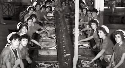 Imagen El Cabildo lanza un vídeo en homenaje a las miles de mujeres que trabajaron en las fábricas conserveras de la isla
