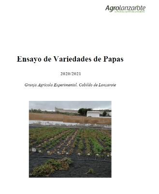 Imagen Ensayo comparativo de variedades comerciales de papas 2021