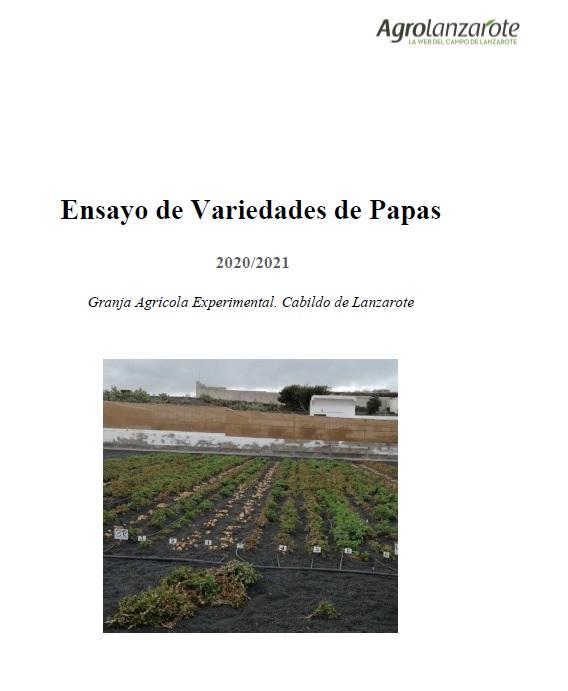 Imagen Ensayo comparativo de variedades comerciales de papas 2021