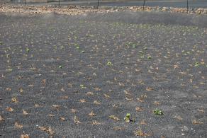 Imagen Prealerta por altas temperaturas