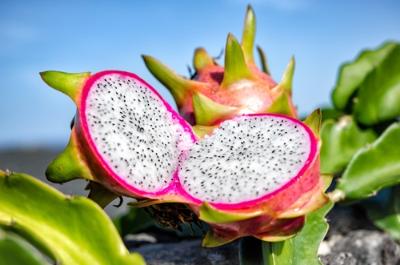 Imagen Campaña de venta de frutales
