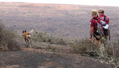 Imagen El Cabildo de Lanzarote refuerza las investigaciones sobre los casos de envenenamiento con la actuación de la unidad canina de Gran Canaria