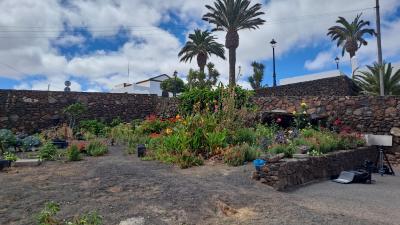 Imagen La Reserva de la Biosfera visibiliza el valor de las escuelas rurales de Lanzarote a través del documental “Manos al Huerto”