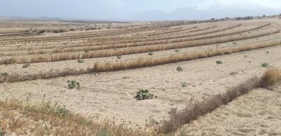 Imagen El Consorcio del Agua concede 150.000 euros en ayudas para reducir el coste del agua al sector primario