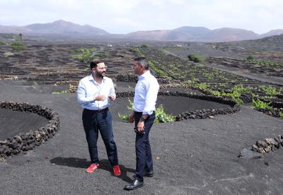 Imagen Concluye el plazo de alegaciones al Plan Especial de La Geria y el Cabildo prosigue los pasos hacia su Aprobación Inicial