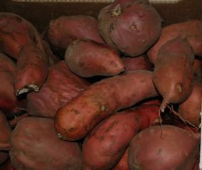 Imagen Batatas