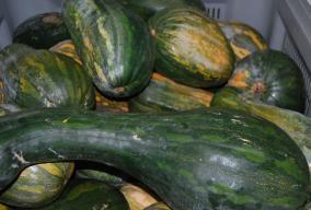 Imagen Calabaza
