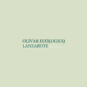 Imagen Olivar Ecológico Lanzarote