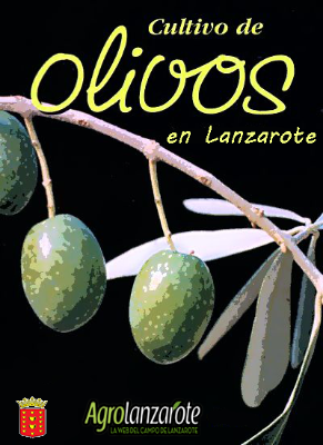 Imagen Campaña venta de olivos