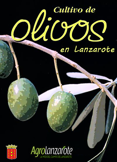 Imagen Campaña venta de olivos
